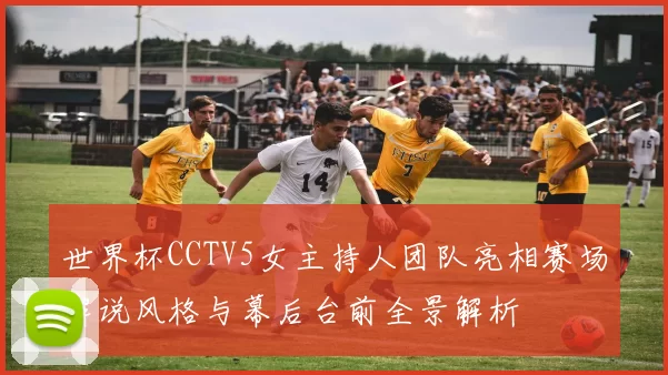 世界杯CCTV5女主持人团队亮相赛场解说风格与幕后台前全景解析