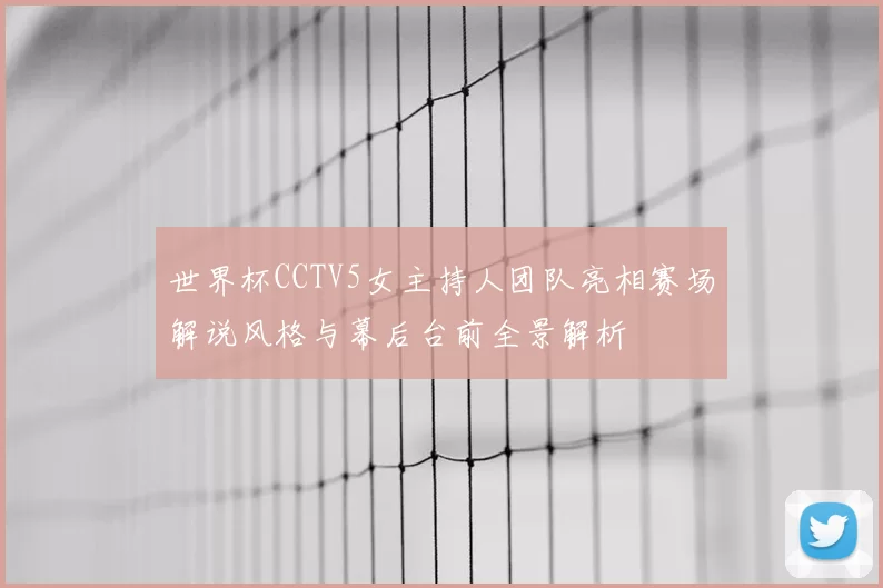 世界杯CCTV5女主持人团队亮相赛场解说风格与幕后台前全景解析