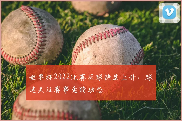 世界杯2022比赛买球热度上升,球迷关注赛事竞猜动态