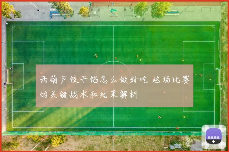 西葫芦饺子馅怎么做好吃 这场比赛的关键战术和结果解析
