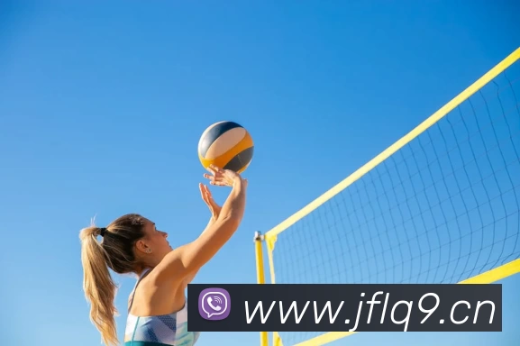 App Interface Preview